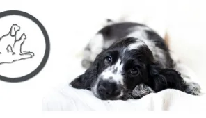 Зооветцентр на улице Маршала Катукова Фото 3 на проекте VetSpravka.ru