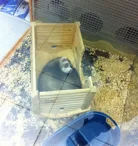 Зоомагазин Четыре лапы в Октябрьском округе Фото 5 на проекте VetSpravka.ru