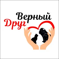 Ветеринарная клиника Верный друг на проекте Lipetsk.vetspravka.ru Ветеринарная клиника Верный друг на проекте Lipetsk.vetspravka.ru
