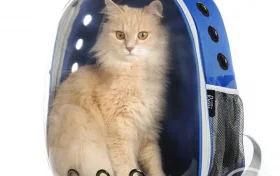 Зоомагазин Четыре лапы на улице Петра Смородина Фото 2 на проекте VetSpravka.ru